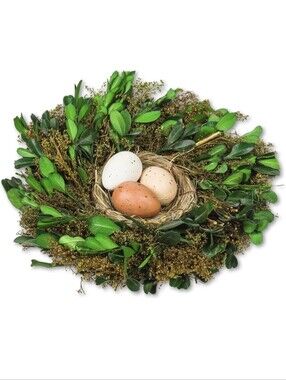 Abbott Collection 27-HEDGEWOOD-141 Boxwood Nest with Eggs, Green Set Of 2
